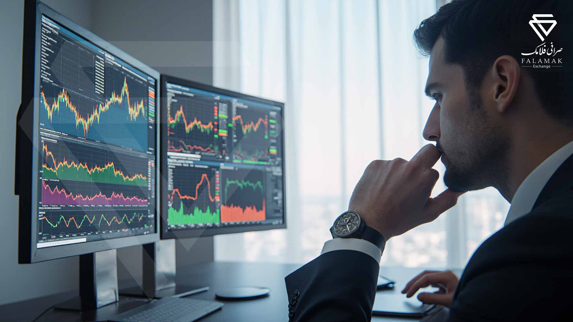 سرمایه‌گذار